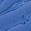 Image Bleu rex FLB